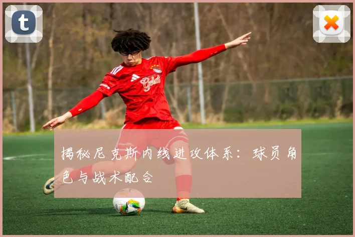 揭秘尼克斯内线进攻体系:球员角色与战术配合