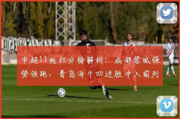 中超11轮积分榜解析：成都蓉城强势领跑，青岛海牛四连胜冲入前列